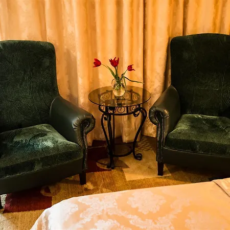 Hotel Ambassador Timişoara