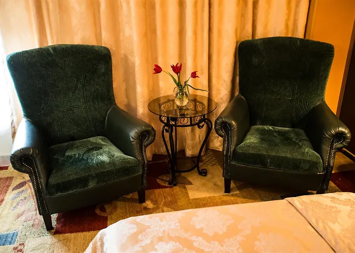 Hotel Ambassador Timisoara