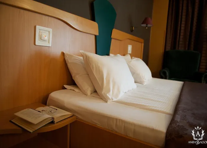 Ambassador Hotel Timisoara